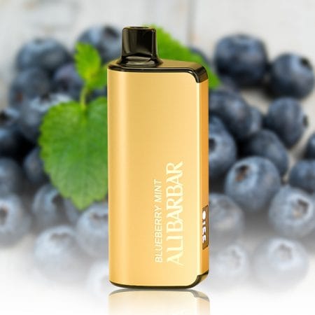 ALIBARBAR INGOT 9000 Puffs Blueberry Mint