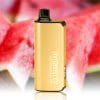 ALIBARBAR INGOT 9000 Puffs Watermelon Ice 5 ALIBARBAR INGOT 9000 Puffs Watermelon Ice