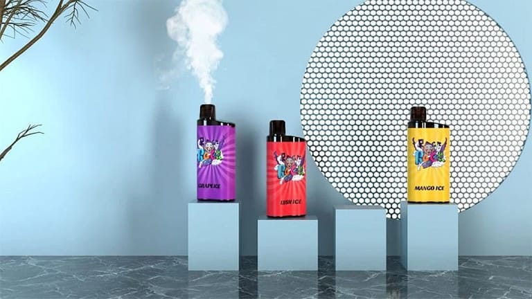 Best Disposable Vapes 2025 - Top 12 Picks 12 IGET BAR 3500 details