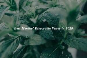Best Menthol Disposable Vapes in 2025: Coolest Picks for Fresh Hits
