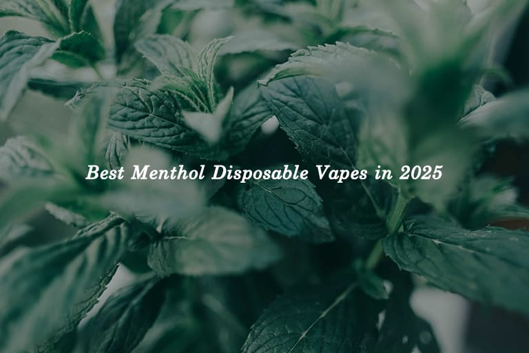 Best Menthol Disposable Vapes in 2025: Coolest Picks for Fresh Hits