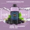 IGET One 12000 Puffs Blackberry Ice 4 IGET One 12000 Puffs Blackberry Ice