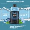 IGET One 12000 Puffs Blueberry Ice 3 IGET One 12000 Puffs Blueberry Ice