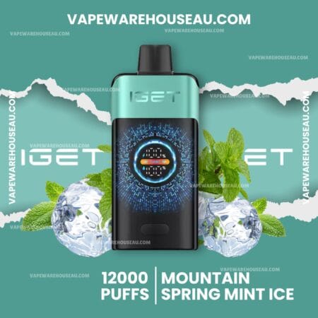 IGET One 12000 Puffs Mountain Spring Mint Ice