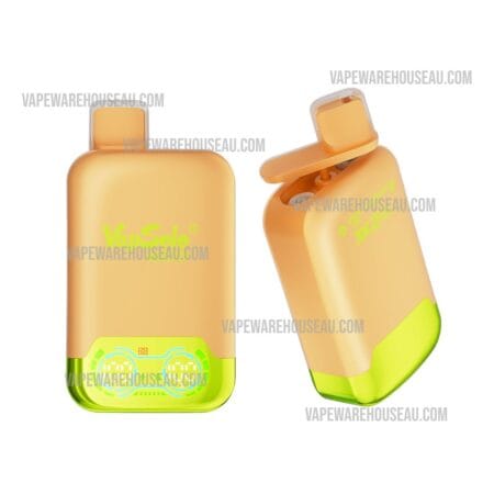 VapSolo Twins 20000 Puffs Lemon Lime & Watermelon Ice