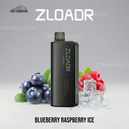 ZLOADR V9000 Puffs Blueberry Raspberry Ice