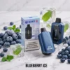 BIMO GTI 40000 Puffs Blueberry Ice