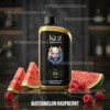 KUZ Nova 16000 Puffs Watermelon Raspberry